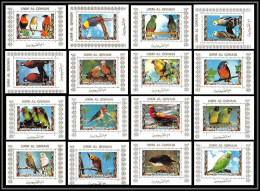 0055/ Umm Al Qiwain Deluxe Blocs ** MNH Michel N° 1242 / 1257 Parrots And Finches Oiseaux (birds) Tirage Blanc - Papegaaien, Parkieten