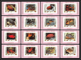 0030/ Umm Al Qiwain Deluxe Blocs ** MNH Michel N° 1466 / 1481 Tropical - Poissons (Fish) Rose Non Dentelé Imperf - Fishes