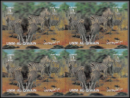 0440/ Umm Al Qiwain ** MNH N°1601 Animals Zèbre 3d PLASTIC BLOC 4 1972 Non Dentelé Imperf - Umm Al-Qiwain