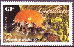 Polynesia Fr - 2003 - Shell - Yv 695 - Meereswelt