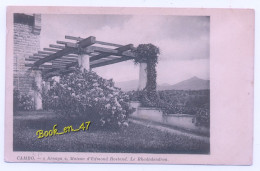 {94299} 64 Pyrénées Atlantiques Cambo , " Arnaga " Maison D' Edmond Rostand , Le Rhododrendon - Cambo-les-Bains