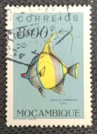 MOZPO0373U5 - Fishes - 8$00 Used Stamp - Mozambique - 1951 - Mozambique