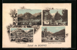 Cartolina Bormio, Panorama, Nuove Ville E Pineta Verso Campello  - Sonstige & Ohne Zuordnung
