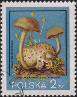 1980 Polen ⵙ Mi:PL 2694, Sn:PL 2397, Yt:PL 2510, Sg:PL 2680, Parasitic Bolete (Xerocomus Parasiticus), Pilze - Gebraucht