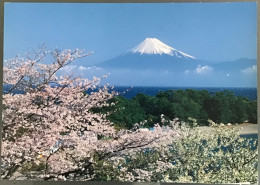 Mount Fuji And Cherry Blossoms - Sonstige & Ohne Zuordnung