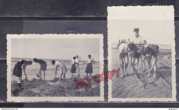 Fixe Cabourg 1938 Pêche Aux équilles - Personnes Anonymes