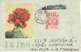 China 2002, FDC Wüstenpflanzen / China 2002, FDC Wüstenpflanzen - Briefe U. Dokumente