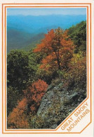 AK 214101 USA - Great Smokey Mountains - Andere & Zonder Classificatie