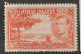 Cayman Islands 1938  SG 115  1/4d  Perf 13.1/2x 12.1/2   Mounted Mint - Iles Caïmans