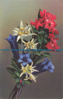 R655924 Flower Bouquet. Photochromie Offset. Serie 563. No. 1368 - Monde