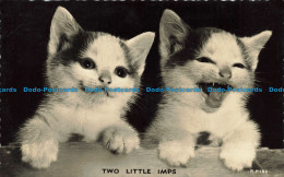 R654653 Two Little Imps. Valentine. Real Photo Animal Series. RP. 1959 - Monde