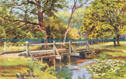 R654664 New Forest. Bolderford Bridge. J. Salmon. 1960 - Monde