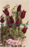 R655948 Tulips. Declaration Of Love. A. And G. Taylor. Reality Series - World