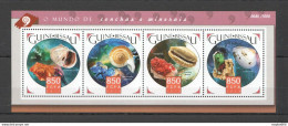 St1046 2015 Guinea-Bissau Fauna Marine Life Seashells Kb Mnh Stamps - Marine Life