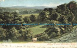 R655310 Tunbridge Wells. Happy Valley. Valentines Series. 1903 - Monde