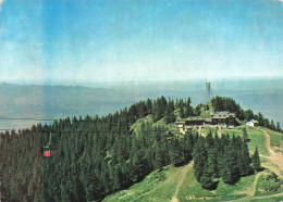 ROUMANIE - Poiama Brasov - Vue Sur La Cabane Cristianul Mare - Vue D'ensemble - Carte Postale - Romania