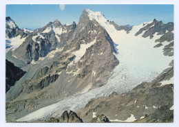 Massif De L'Oisans, Les Écrins Et Le Glacier Blanc (lt 10) - Other & Unclassified