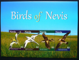 Nevis - 2010 - Birds Of Nevis - Yv 2157/60 - Other & Unclassified
