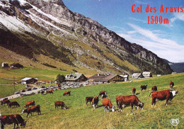 *CPM - 74 - Le Col Des Aravis - Other & Unclassified