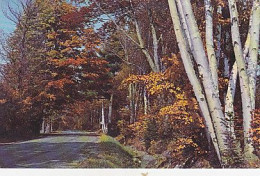 AK 214113 USA - Fall In The Country - New England - Andere & Zonder Classificatie