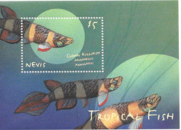 Nevis - 2000 - Fish - Yv Bf 180 - Poissons