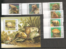 Afghanistan MNH - Coquillages
