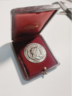 The Thermoelectric Company Of Bari - Silver Medal 1960, 38,10  Mm, 32 Gr - Professionnels/De Société