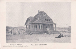 Coxyde-Plage Villa Dans Les Dunes - Koksijde