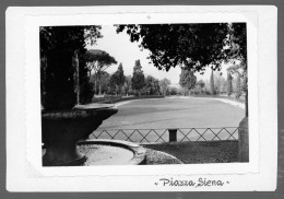 °°° Fotografia N. 6069 - Foto Piazza Di Siena °°° - Orte