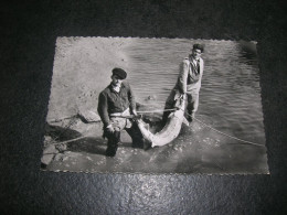 Cpsm 9X14 NV DD Talmont Sur Gironde Capture Peche De L Esturgeon Pesant 80 Kilos Pour 11 Kilos De Caviar TBE - Other & Unclassified