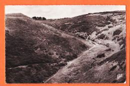 7138 / ⭐ CAROLLES 50-Manche La Vallée Du LUDE 1950s à SAINT LAURENT Colonie E.G.d.F Contis-Plage / Bromure CAP 1583 - Autres & Non Classés