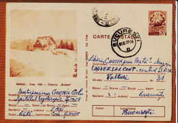 7041 /⭐ SINAIA Romania Cota 1300 Cabana BRADET 1979 Chalet 1300 M Altitude Roumanie Carte Postala - Romania