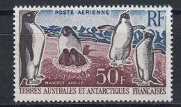 TAAF 1962 Adelie Penguin 1v ** Mnh (60040E) - Ongebruikt