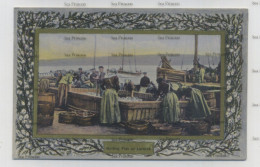 Shetland Postcard Scalloway Lerwick Gutting Fish By WH G&A Davidson White Heather - Shetland