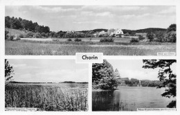 Chorin I.d. Mark Teilansichten Panorama Gl1960 #168.206 - Sonstige & Ohne Zuordnung