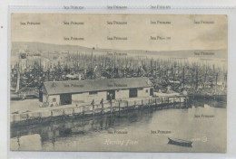 Shetland Postcard Scalloway Lerwick Herring Fleet 1900s-10s - Shetland