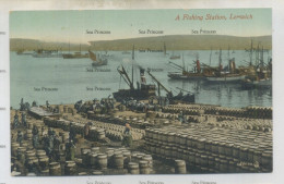 Shetland Postcard Scalloway Lerwick Herring Fleet Fishing Station 1900s-10s - Shetland