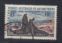 TAAF 1962 Definitive Sea Elephant 1v ** Mnh (60041) - Neufs