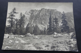 Zugspitze Vom Seebensee - Foto Edelmann - Verlag M. Koeltz, Frankfurt - # F 36 - Zugspitze