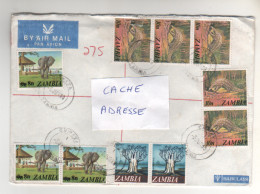 16 Timbres , Stamps " éléphant , Arbre , Pangolin " Sur Lettre Recommandée , Registered Cover , Mail Du 05/06/80 - Zambie (1965-...)