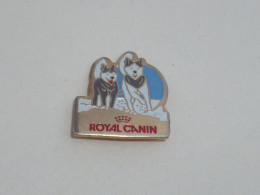 Pin's HUSKYS ROYAL CANIN - Animals