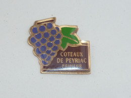Pin's RAISIN, COTEAUX DE PEYRIAC - Bevande