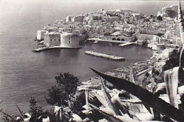 AK 214154 CROATIA - Dubrovnik - Croazia