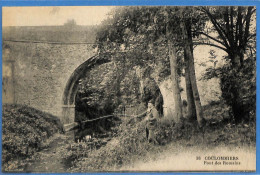 77 - Seine Et Marne - Coulommiers - Pont Des Romains (N15811) - Coulommiers