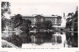 London - Buckingham Palace From The Lake In St. James Park 1951 - Buckingham Palace