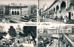 Souvenir D Alger - Algiers