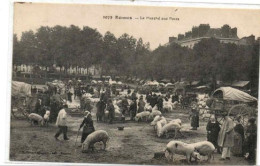 RENNES LE MARCHE AUX PORCS TRES ANIMEE - Rennes