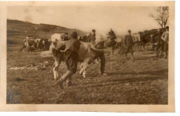 1914/18 - OLEJOW Okres ZBOROW ,Orginal Foto 14x9cm.  Gute Zustand, 2 Scan - Ucraina