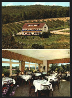 AK Leimen Bei Heidelberg, Hotel-Restaurant Lingentalerhof Von Manfred Weber-Stahl  - Leimen