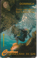 TARJETA DE DOMINICA DE $20 DE DIVER AND BLACK BAR SOLDIER FISH - 7CDME - Dominique